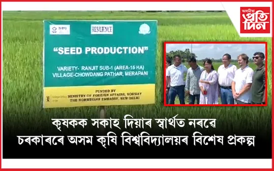 ‘বীজ গাঁও’ চাওদাং পথাৰৰ ধানখেতি দেখি অভিভূত নৰৱেৰ কৃষি বিজ্ঞানী